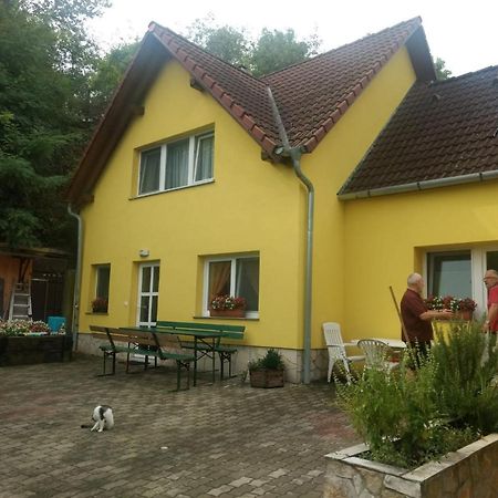 Villa Foki Vendeghaz Hidegseg Exterior foto