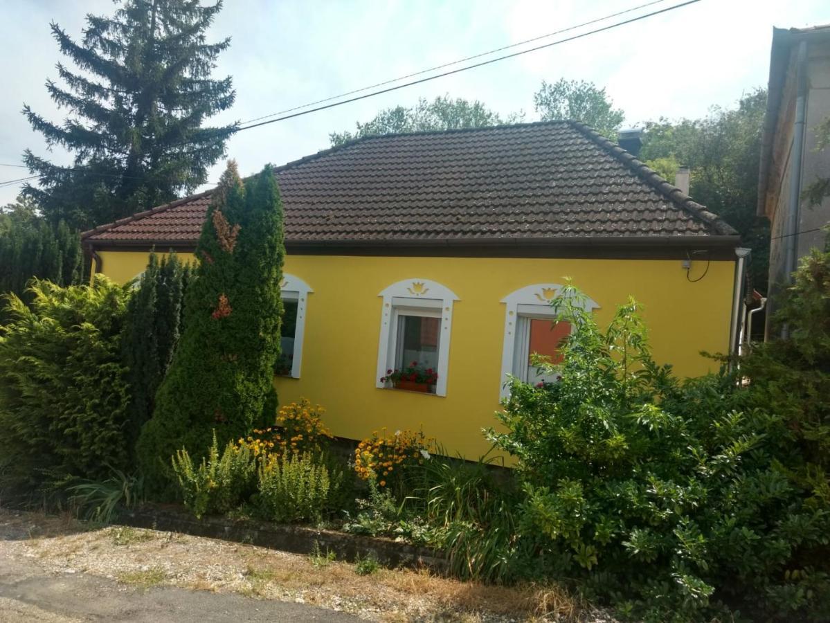 Villa Foki Vendeghaz Hidegseg Exterior foto